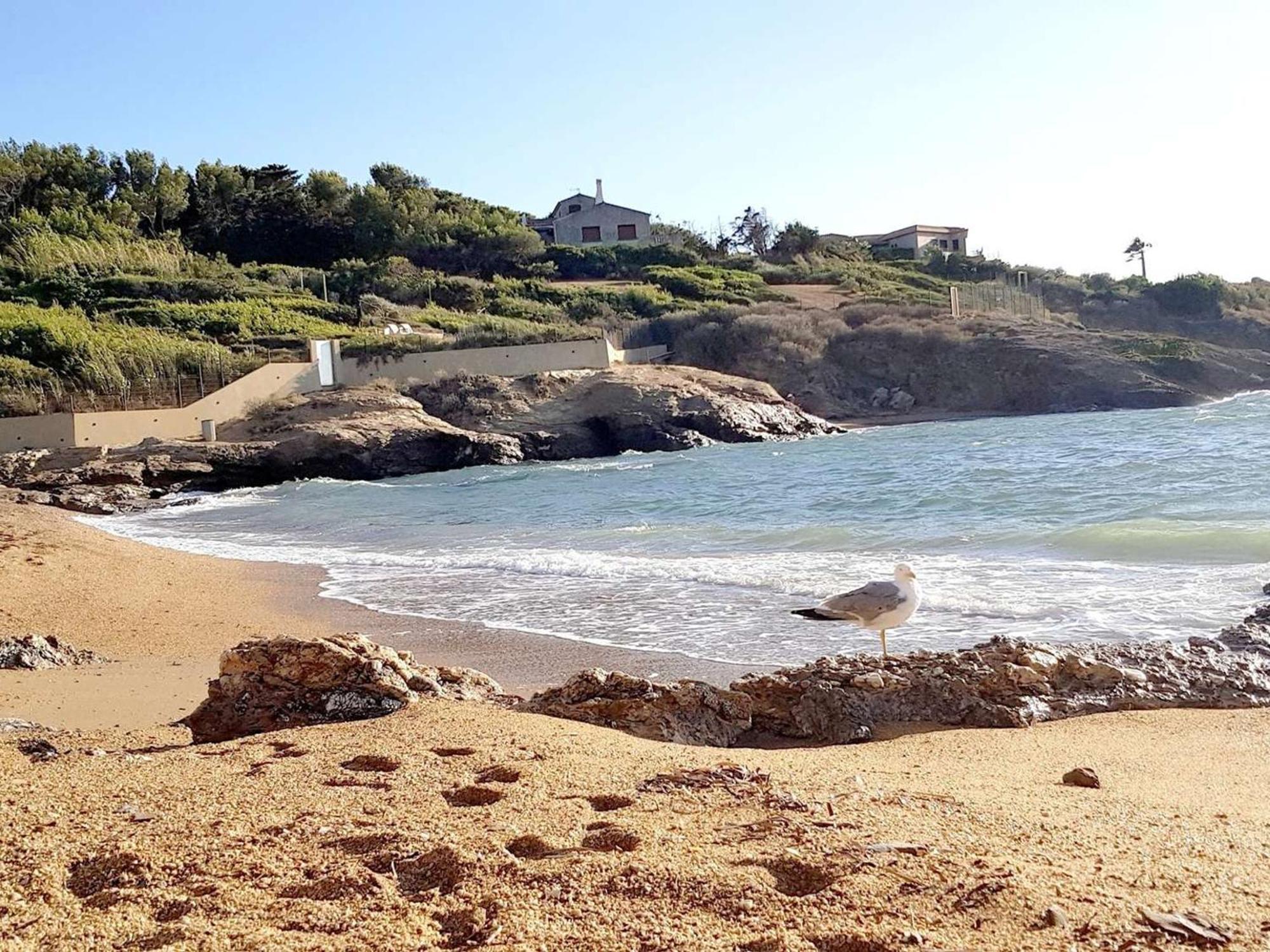 T3 Climatise Avec Jardin, Parking Prive, A 400M De La Plage Et Commerces - Fr-1-316-230 식스포즈레스플라지스 외부 사진